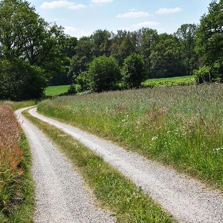 'T Buitenverblijf Erve Punte Losser Exteriör bild