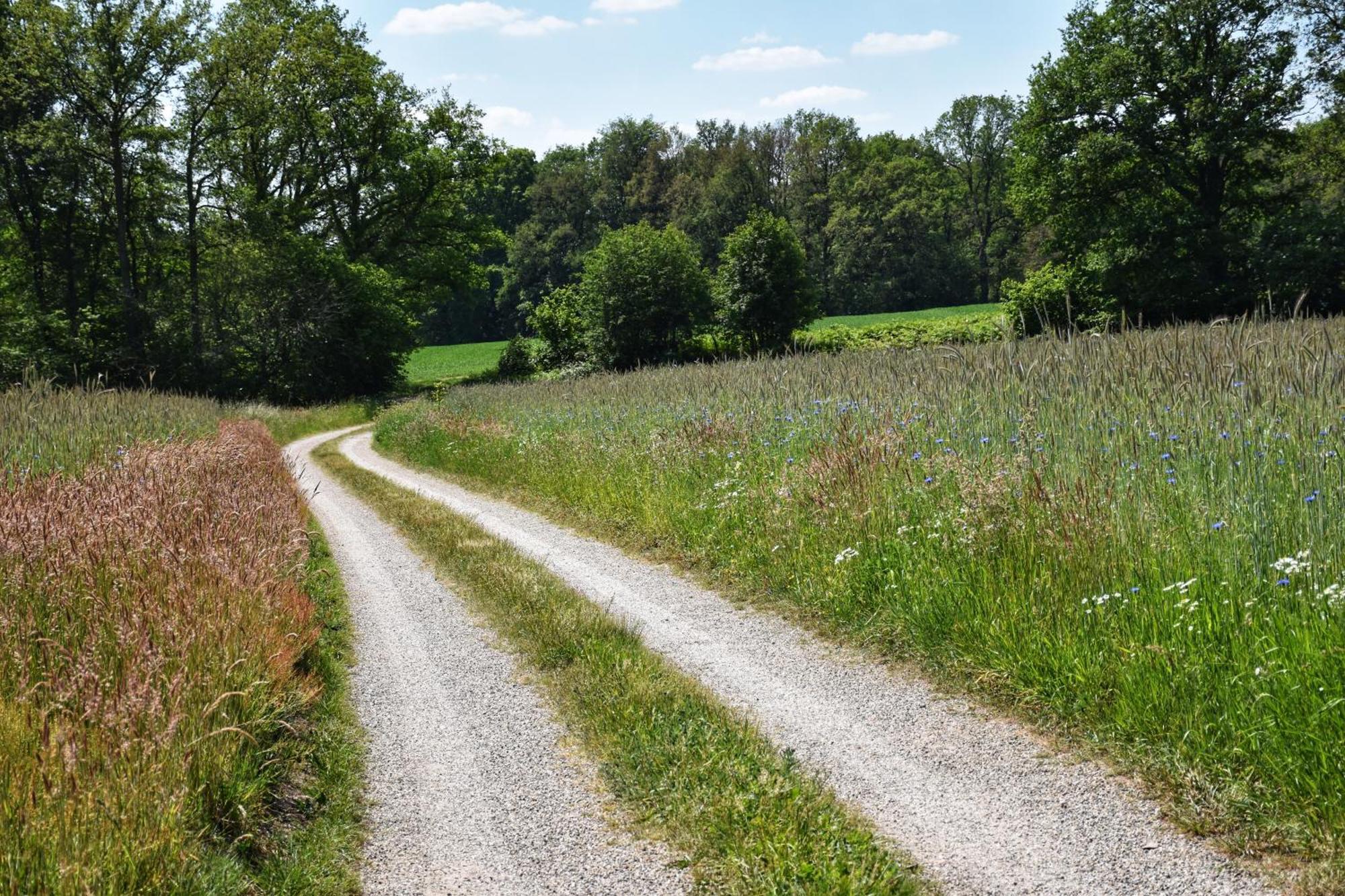 'T Buitenverblijf Erve Punte Losser Exteriör bild